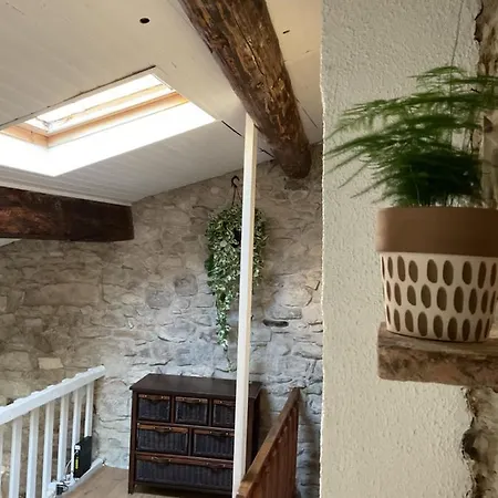 Place Aux Herbes Nîmes