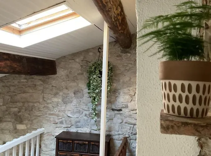 Place Aux Herbes Nîmes